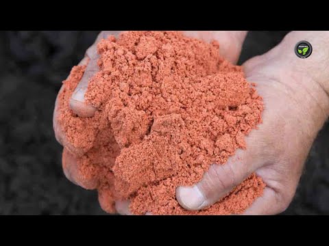 ಪೊಟ್ಯಾಷ್ ಯುಕ್ತ ರಸಗೊಬ್ಬರಗಳು | Soil Science