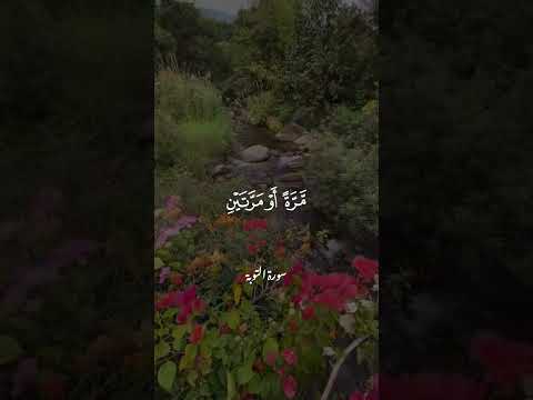 أولا يرون أنهم يفتنون في كل عام مرة أو مرتين ثم لا يتوبون ولا هم يذكرون تلاوة محبرة للشيخ الحصري