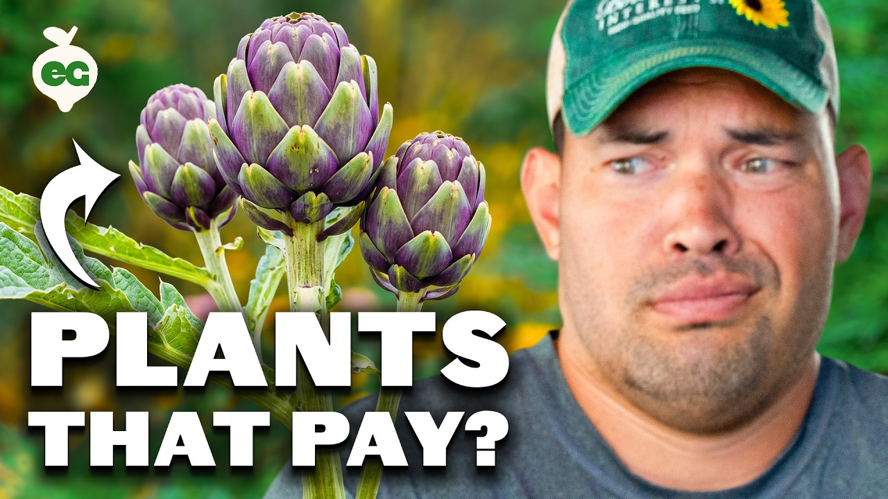 5 Perennials That Pay You Back In ONE Season