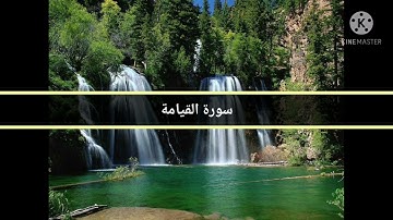 من سورة المرسلات إلى سورة الجن بصوت الشيخ محمد اللحيدان