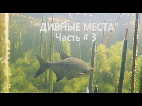 Подводная Охота 2016,Июнь, Озеро Неро ,"ДИВНЫЕ МЕСТА Чась 3 " (ПОЛНОМЕТРАЖ)