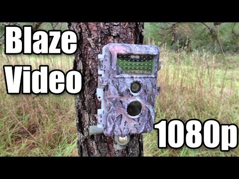 Blaze Video 1080p Trail Camera Review