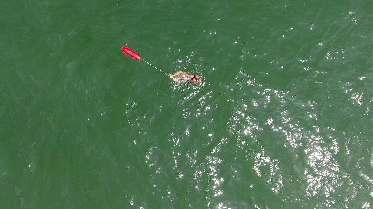 dronesense DJI 0091