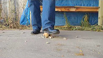 Bone Crushing Boots