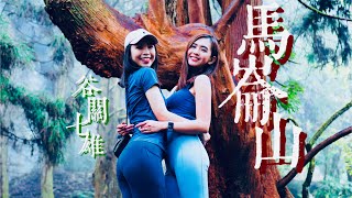 谷關七雄老二馬崙山 竟然比百岳還操 滑溜溜全餐吃到飽 馬崙名樹仙氣爆棚