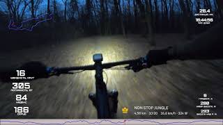 Download Lagu NON STOP JUNGLE MP3