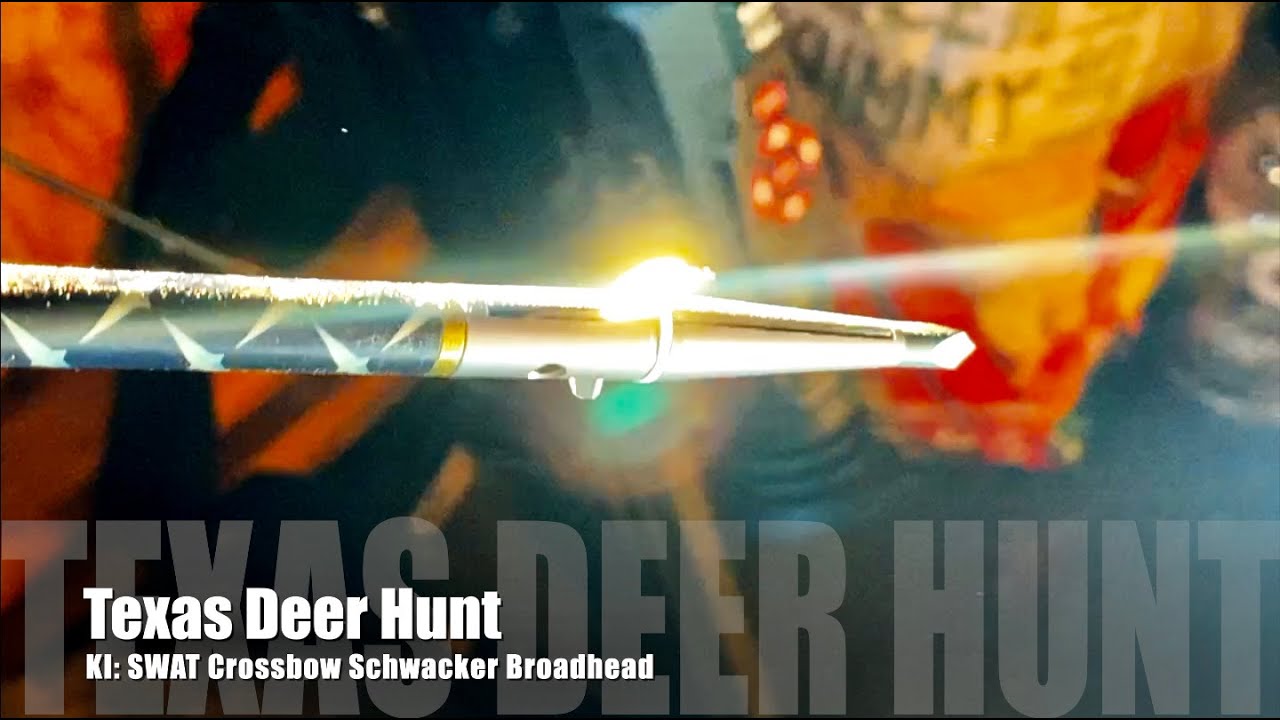 Texas Deer Hunt KI SWAT Crossbow Schwacker Broadhead YouTube