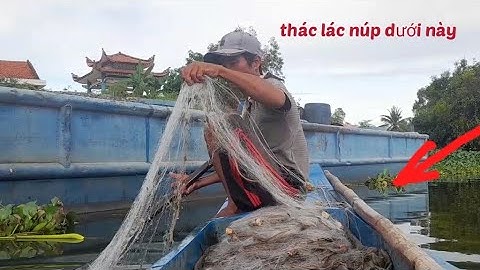 @ giăng lưới bao bắt cá thác lác nằm dưới đáy tàu, dính thác lác bự mê luôn