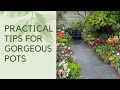 How to group pots  plus practical tips for fabulous container planting