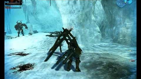 Bug on vindictus exploit on bosses