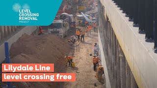 Celebrating the Lilydale Line being level crossing free