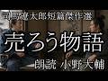 「売ろう物語(後藤又兵衛の話)」朗読:小野大輔 司馬遼太郎短篇傑作選