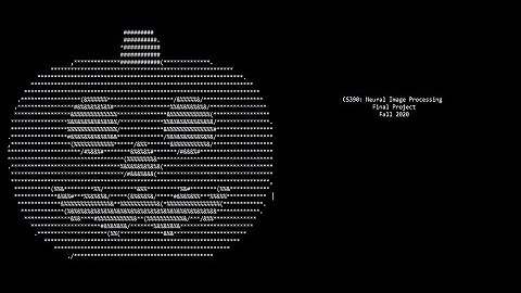 Neural Image Processing: Final Project Lecture (Fall 2020)