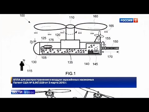 მოღალატე გიორგაძის კოღოები