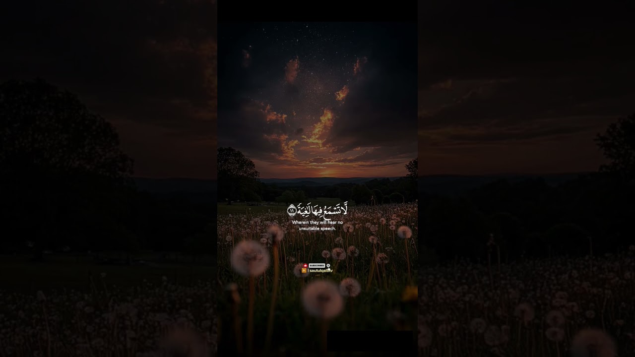 Quran for sleep Quran for daily inspiration Islamic recitation | 