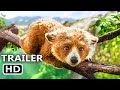 PADDINGTON 3 IN PERU Final Trailer (2025) Baby Paddington