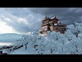 An Ancient House And A Park With Trees Covered With The First Snow | No Copyright Background Video