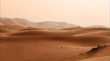 تلاوه شجيه تُرقق القلوب | يوسف السعيد