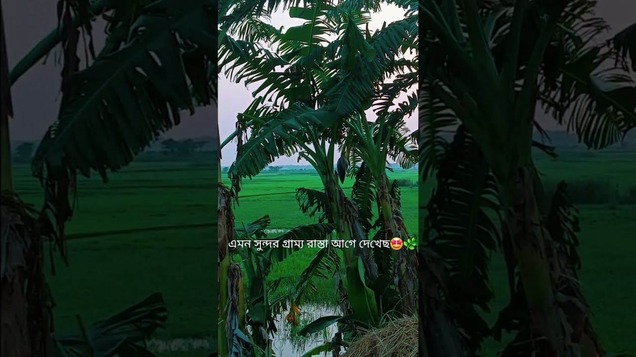 hidden village road in bangladesh🌴#nature #village #shorts #travel #peaceful