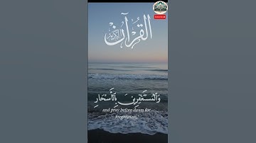 القران الكريم:الآيات من سورة آل عمران بصوت للشيخ#ماهر_المعيقلي#قرآن #اكسبلور #قرآن_كريم #راحة_نفسية