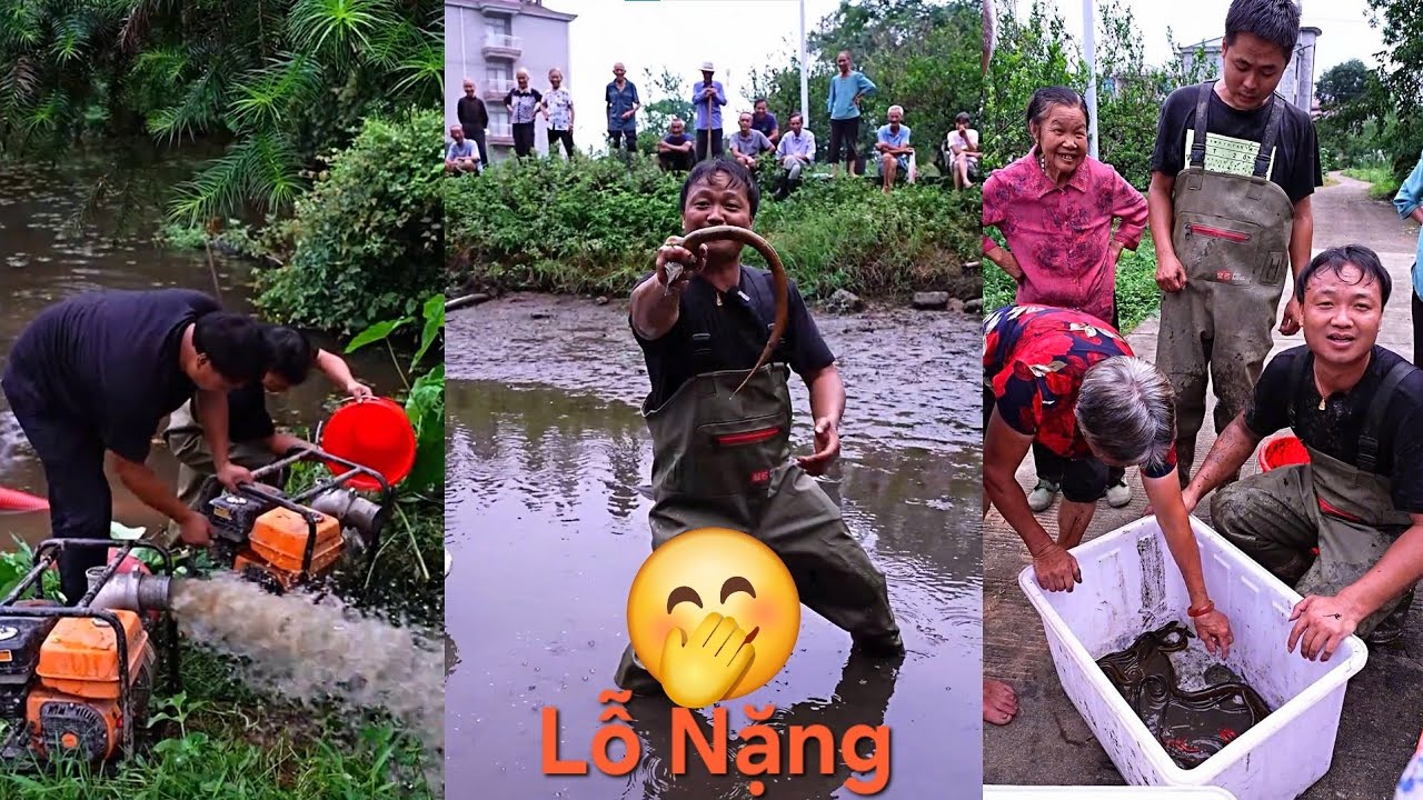 Chi 800 tệ mua lại ao cá bỏ hoang trong làng, hút cạn nước xem rốt cuộc có bao nhiêu cá