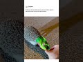 Kafasında #kek poşetiyle #gezen #kirpi,kendisine yapılan yardımdan pek de memnun görünmüyor#trending