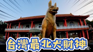 十八王公來了台灣最大狗狗廟偏財最強先人就埋在舊廟樓下越晚越美麗的廟
