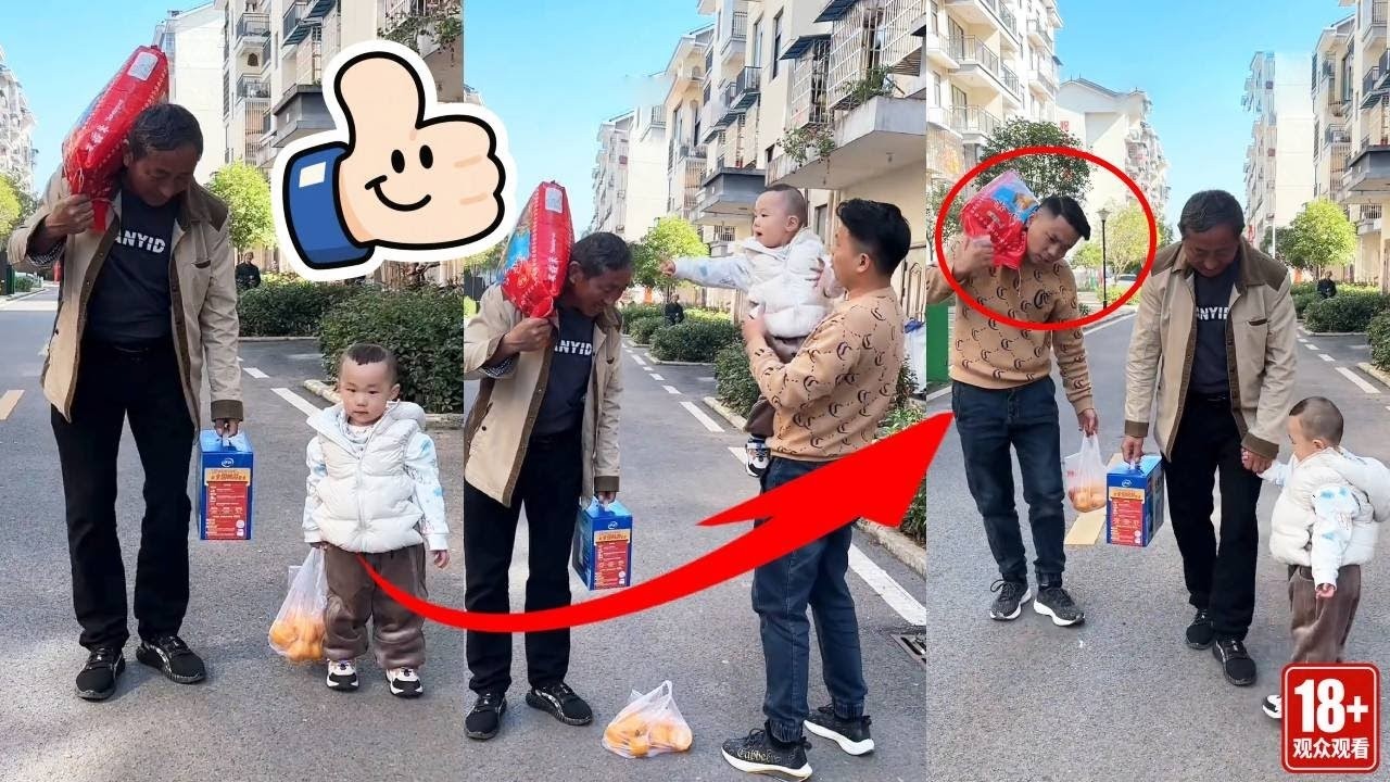 If the father lacks sense, then the son will teach you! #funny