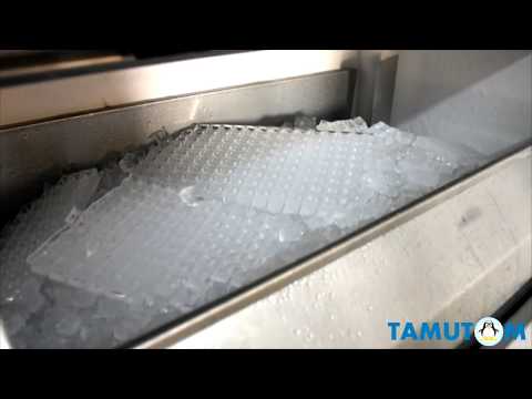 Ice cube machine 500 kg
