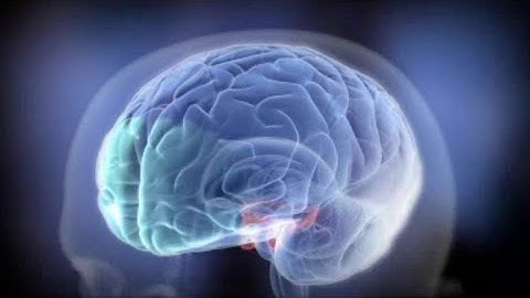 Welcome to Class: Introduction to Neuroscience