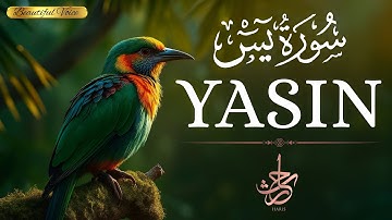 Surah Yasin (Yaseen) for Healing | Relieve Stress, Depression & Anxiety | سورة يس | Haris Ashraf