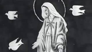 Ancient Prophecies II: Countdown to Doomsday [Hosted By David McCallum] - Our Lady of Zeitoun