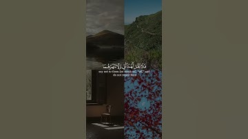 وقضى ربك ألا تعبدوا إلا إياه وبالوالدين إحسانا من سورة الإسراء بصوت الشيخ سليمان بابطين