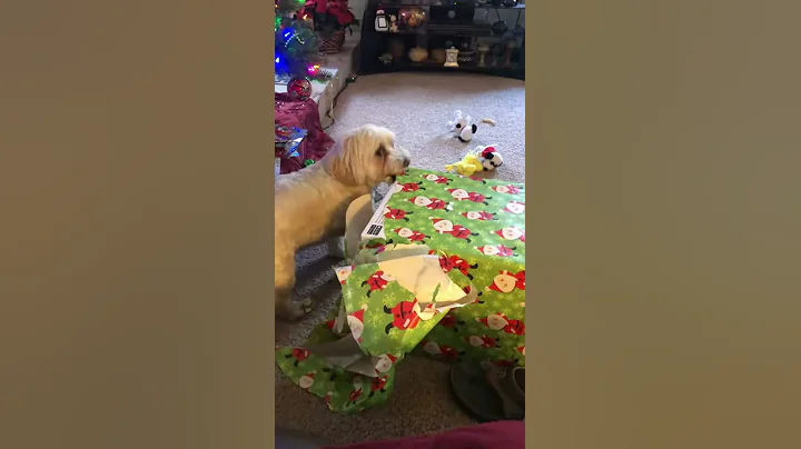 Charlie opening presents