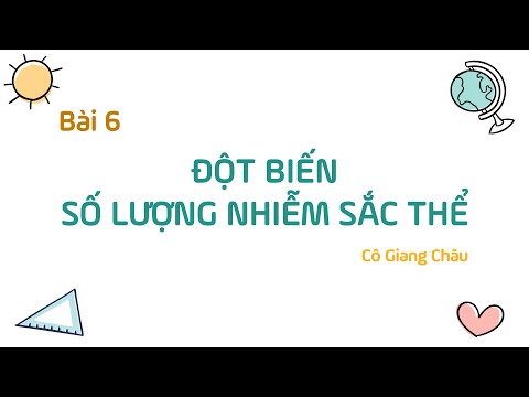 Video: Số lượng nhiễm sắc thể của hợp tử là?