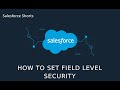 How to set Field Level Security in Salesforce