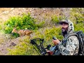 We Bow Hunted The Best Tasting Meat In In The World 2025 4K HUSH HUNT FILM We Bow Hunted The Best Tasting Meat In In The World 2025 4K HUSH HUNT FILM