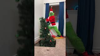 Grinch Stole Our Tree! 😭🎄
