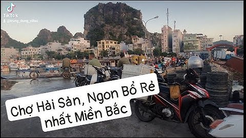 Bình minh trên Cảng Cái Rồng, huyện đảo Vân Đồn | Daviland Travel Review | Trung Dũng Villas