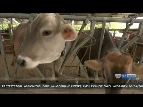 PROTESTE DEGLI AGRICOLTORI, BORCHIA: «DOBBIAMO METTERLI NELLE CONDIZIONI DI LAVORARE» | 08/04/2024