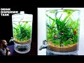 Drink dispenser aquarium no tech ecosystem nano tank aquascape tutorial
