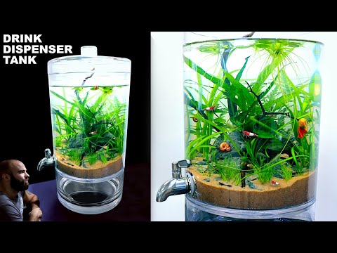 Drink Dispenser Aquarium: NO TECH Ecosystem Nano Tank (Aquascape Tutorial)