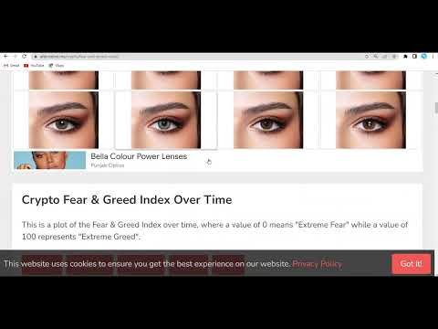 Video 16 - Fear and Greed Index