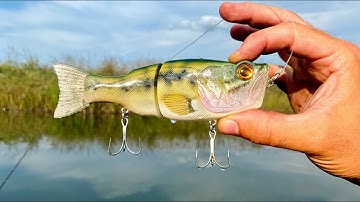 Making a LargeMouth Bass Wedge Nose Glidebait