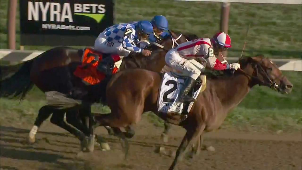 2017 KENTUCKY DERBY PROFILE: Practical Joke - YouTube