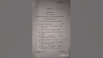 +3 2nd Semester//DSC -IV // Botany Honours 2019//Sambalpur University