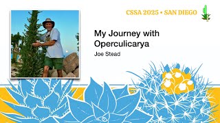 My Journey with Operculicarya - Joe Stead