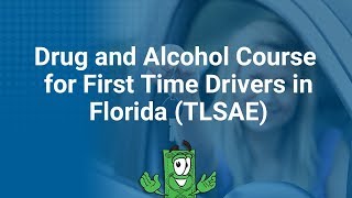 Drug and Alcohol Course for First Time Drivers in Florida (TLSAE)