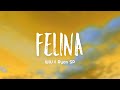 WIU & MC Ryan SP - Felina (Letra/Lyrics)