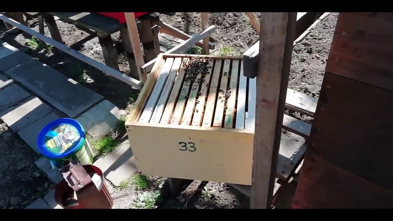 První zásahy do včel před sezónou v dubnu. Otočení nástavků ve včelách na jaře.